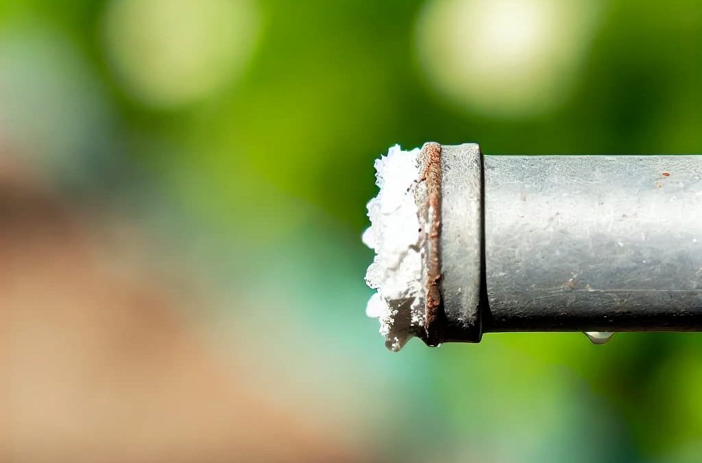 Problemy z twardą wodą w systemach nawadniających – jak zapobiegać osadzaniu się kamienia?